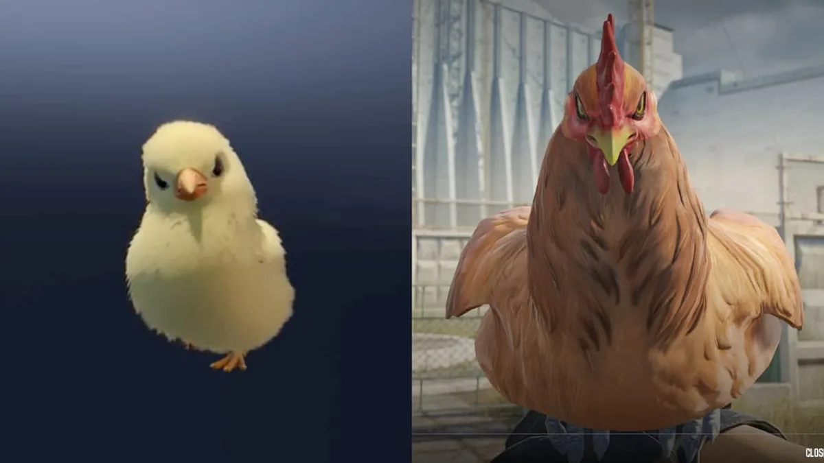 CS2 Update Baru Bikin Bisa Pelihara Ayam Sendiri